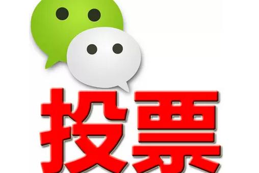 大庆市微信投票功能开发 上传图片投票